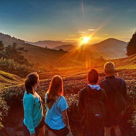 C1 Backpackers Hostel Cameron Highlands Extérieur photo
